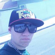 will-tesudo
